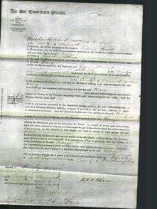 Court of Common Pleas - Mary Atkins-Original Ancestry