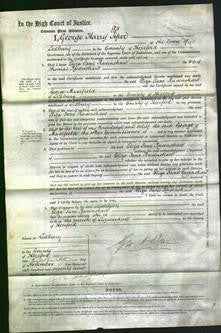 Court of Common Pleas - Eliza Jane Ravenshaw-Original Ancestry