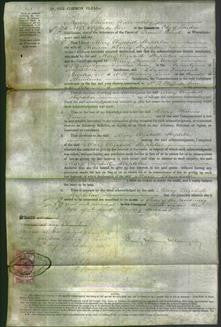 Court of Common Pleas - Mary Elizabeth Stapleton-Original Ancestry