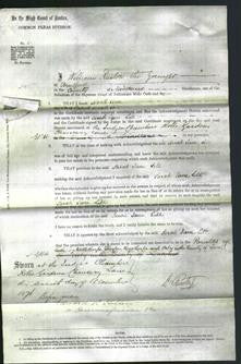 Court of Common Pleas - Sarah Jane Lill-Original Ancestry