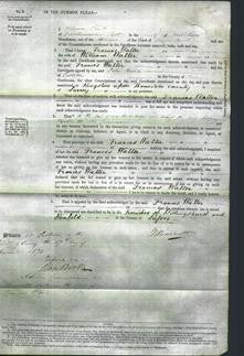 Court of Common Pleas - Frances Walter-Original Ancestry