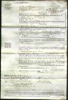 Court of Common Pleas - Jane Owen-Original Ancestry