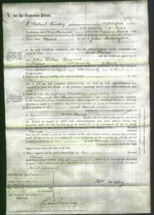 Court of Common Pleas - Maria Billington-Original Ancestry