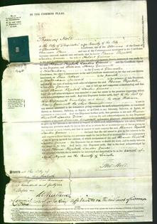 Court of Common Pleas - Eleanor Elizabeth Lander Grimes-Original Ancestry