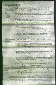 Court of Common Pleas - Annie Bew-Original Ancestry