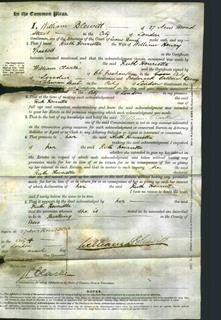 Court of Common Pleas - Ruth Henrietta Spashett-Original Ancestry
