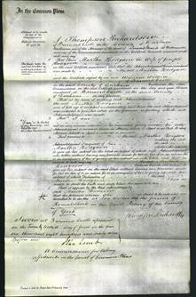 Court of Common Pleas - Martha Hodgson-Original Ancestry