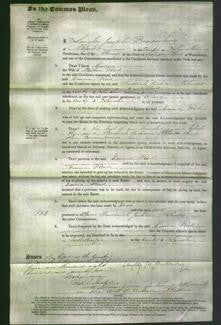 Court of Common Pleas - Emma Reed-Original Ancestry