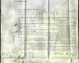 Court of Common Pleas - Martha Poole-Original Ancestry