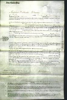 Court of Common Pleas - Ann Walker-Original Ancestry