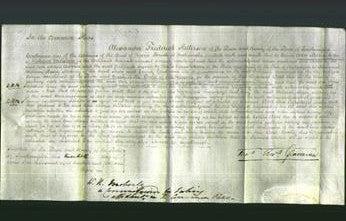 Court of Common Pleas - Ann Maria Willshire-Original Ancestry