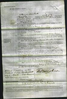 Court of Common Pleas - Anne Evans-Original Ancestry