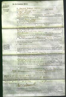 Court of Common Pleas - Charlotte Reynolds-Original Ancestry