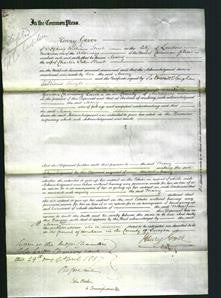 Court of Common Pleas - Mary Hunt-Original Ancestry