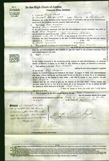 Court of Common Pleas - Eliza Huggins-Original Ancestry