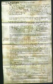 Court of Common Pleas - Elizabeth Penny-Original Ancestry