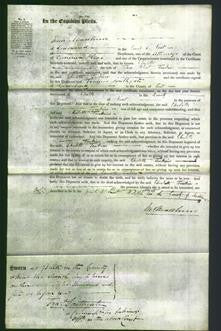 Court of Common Pleas - Charlotte Jenkins-Original Ancestry