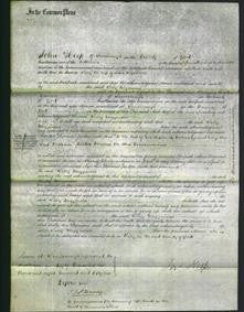 Court of Common Pleas - Sally Mugginson-Original Ancestry