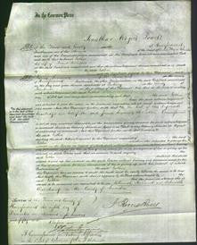 Court of Common Pleas - Esther Williams-Original Ancestry