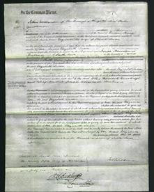 Court of Common Pleas - Elisabeth Leeson-Original Ancestry