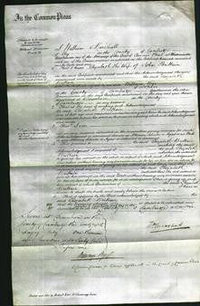 Court of Common Pleas - Elizabeth Brittain-Original Ancestry