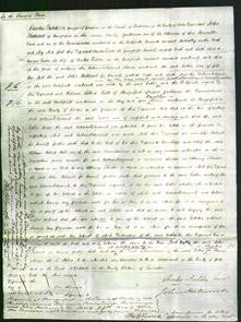 Court of Common Pleas - Esther Fielder-Original Ancestry