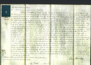 Court of Common Pleas - Elizabeth Horsington-Original Ancestry