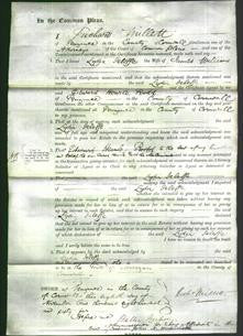 Court of Common Pleas - Lydia Jeliffe Williams-Original Ancestry