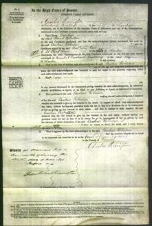 Court of Common Pleas - Caroline Robertson-Original Ancestry