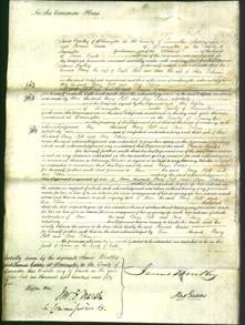 Court of Common Pleas - Mary Holt and Ann Dobson-Original Ancestry