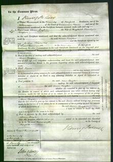 Court of Common Pleas - Ann Layton-Original Ancestry