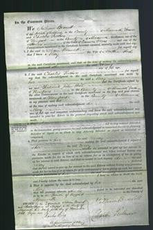 Court of Common Pleas - Mary Slade-Original Ancestry