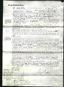 Court of Common Pleas - Harriet Graviel, Jane Maw, Hannah Dawson and Sarah Butler-Original Ancestry