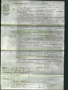 Court of Common Pleas - Dame Mary Ann Bickerton Long-Original Ancestry