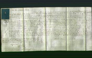 Court of Common Pleas - Mary Jones-Original Ancestry