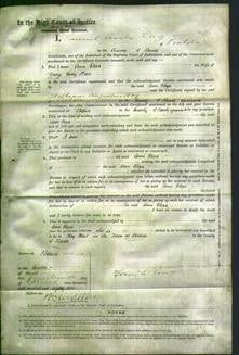 Court of Common Pleas - Ann Eliza Bate-Original Ancestry