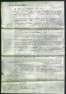 Court of Common Pleas - Sarah Manning-Original Ancestry