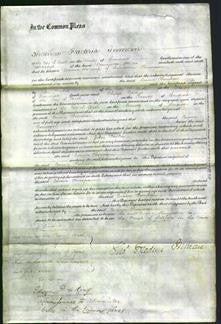 Court of Common Pleas - Emma Thompson-Original Ancestry