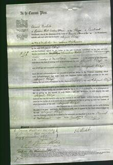 Court of Common Pleas - Abigail Eliza Workman-Original Ancestry