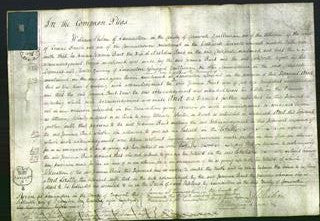 Court of Common Pleas - Joanna Burt-Original Ancestry