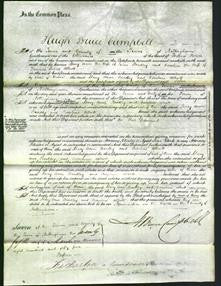 Court of Common Pleas - Mary Ann Bradley and Caroline Alliott-Original Ancestry