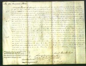 Court of Common Pleas - Ann Snowdon-Original Ancestry