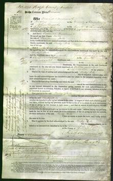 Court of Common Pleas - Betty Potts-Original Ancestry