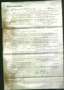 Court of Common Pleas - Gertrude Loggin-Original Ancestry