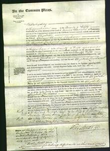 Court of Common Pleas - Elizabeth Clarkson-Original Ancestry