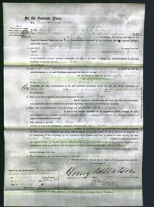 Court of Common Pleas - Ann Dixon-Original Ancestry