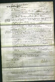 Court of Common Pleas - Mary Newman and Rhoda Palmer-Original Ancestry