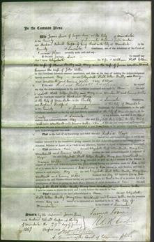 Court of Common Pleas - Elizabeth Hall, Ellen Beilby, Mary Weatherill and Emma Willis-Original Ancestry