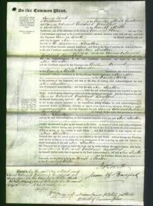 Court of Common Pleas - Ann Stratton