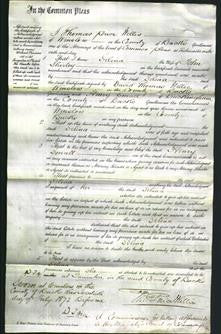 Court of Common Pleas - Selina Shirley-Original Ancestry